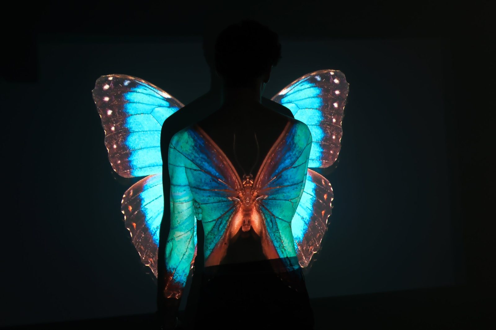 Wings