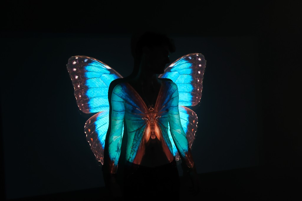 Morpho